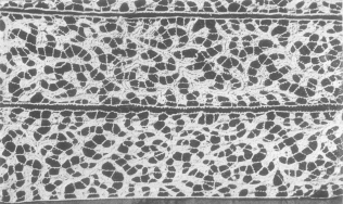 Old Venice Point Lace.